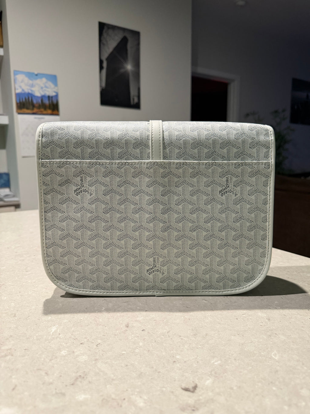 GY Messenger Bag - White