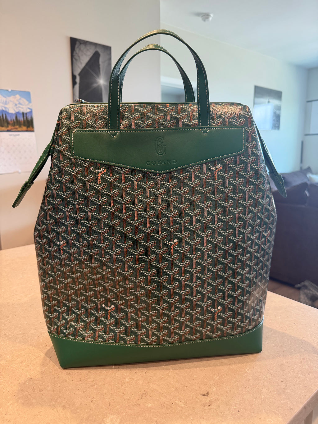 GY Backpack - Green