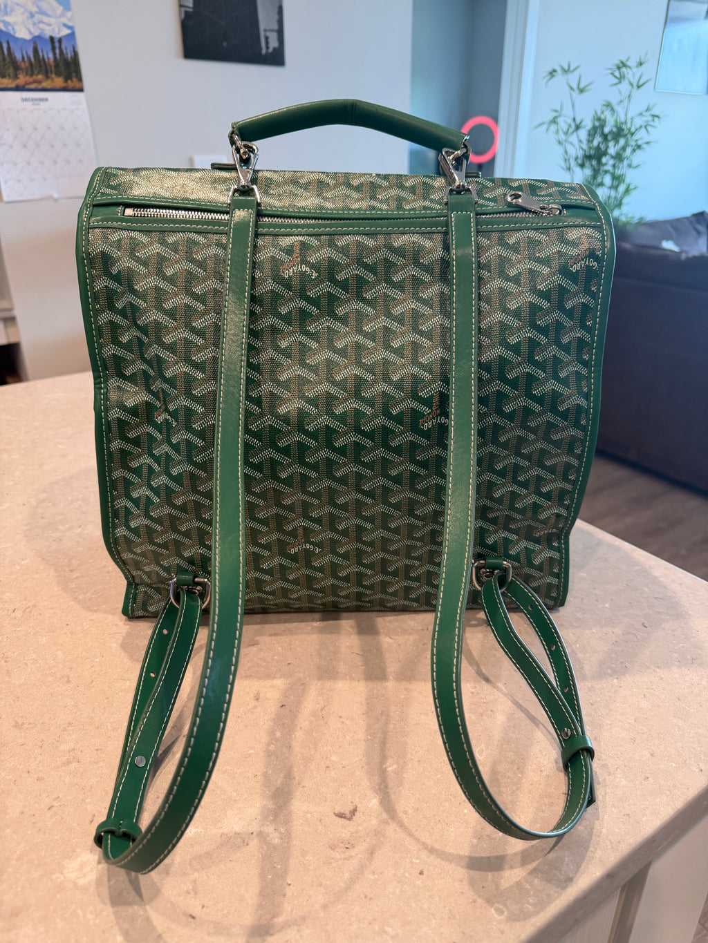 GY Backpack - Green